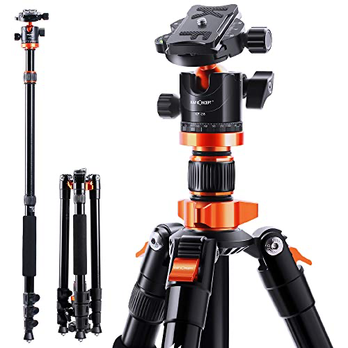 K And F Concept Tripod