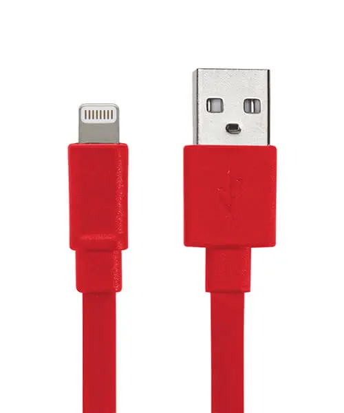 iPhone Cable 10 Nis 