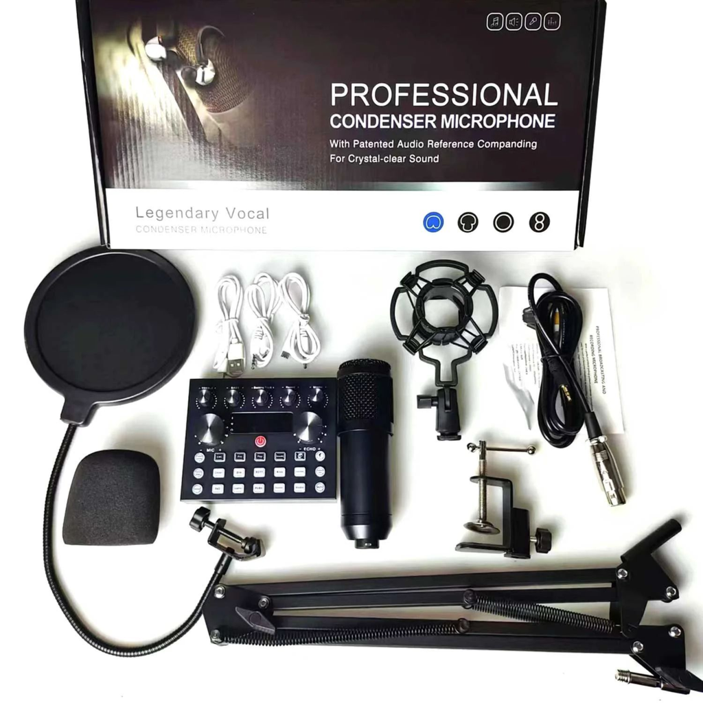 Professional Condenser Microphone With Patented Audio Reference Companding For Crystal Clear Sound