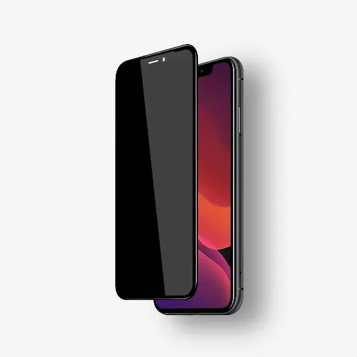 Screen Protector Privacy iPhone X/XS/11 Pro