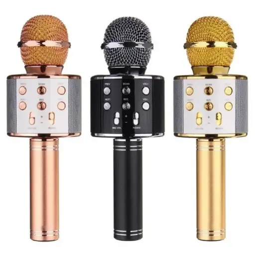 Wireless MicroPhone Speaker